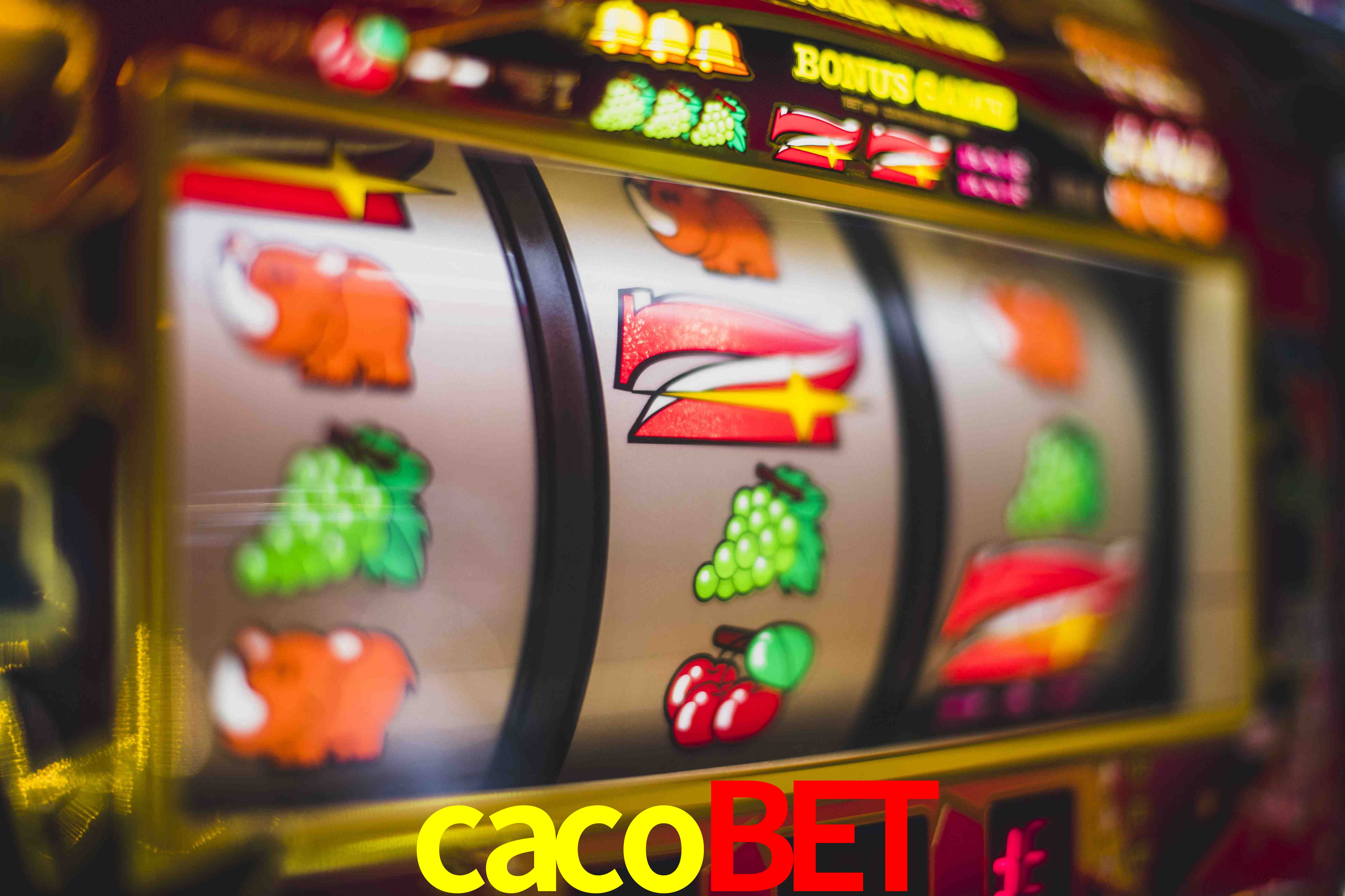 Basketball Betting cacobet