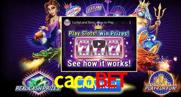 Cassino ao vivo com dealers reais na cacobet